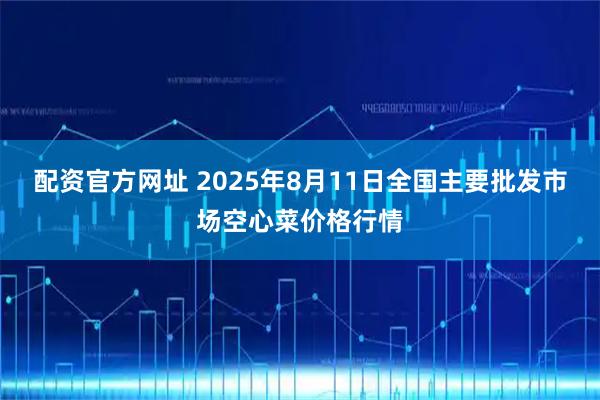 配资官方网址 2025年8月11日全国主要批发市场空心菜价格行情