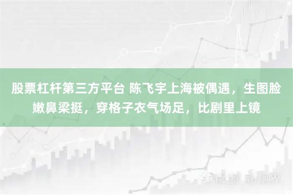 股票杠杆第三方平台 陈飞宇上海被偶遇，生图脸嫩鼻梁挺，穿格子衣气场足，比剧里上镜